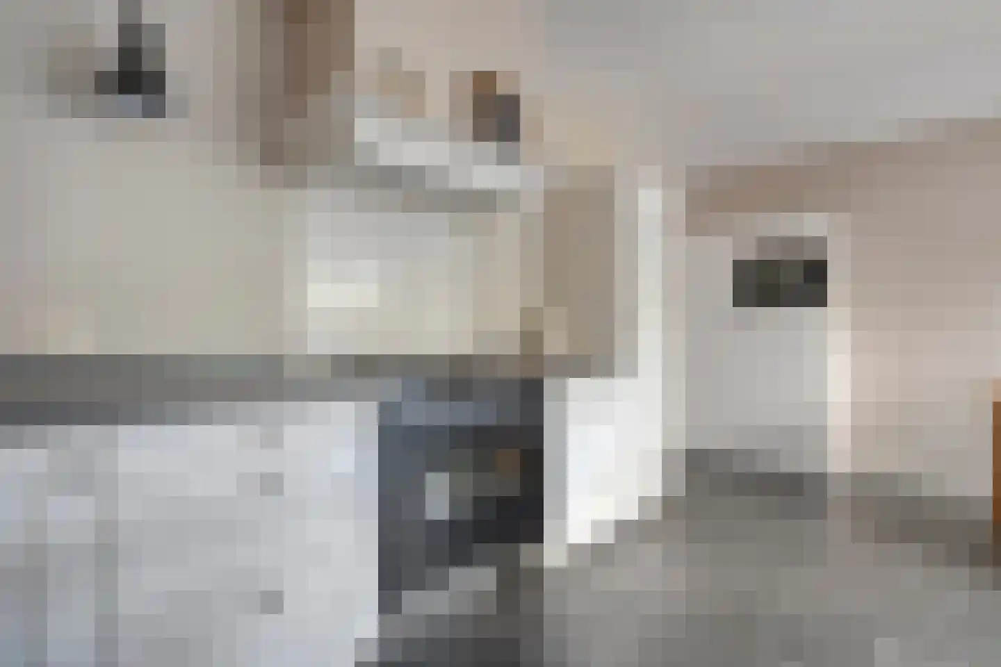 Molckenbourstraat 51 Hardenberg thumbnail 20