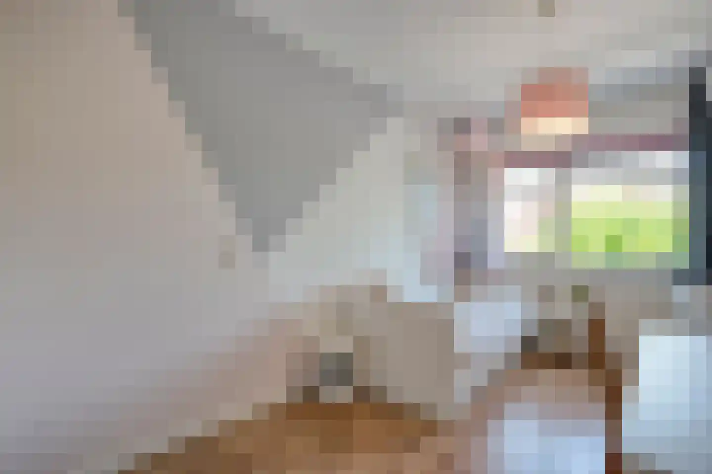 Molckenbourstraat 51 Hardenberg thumbnail 28