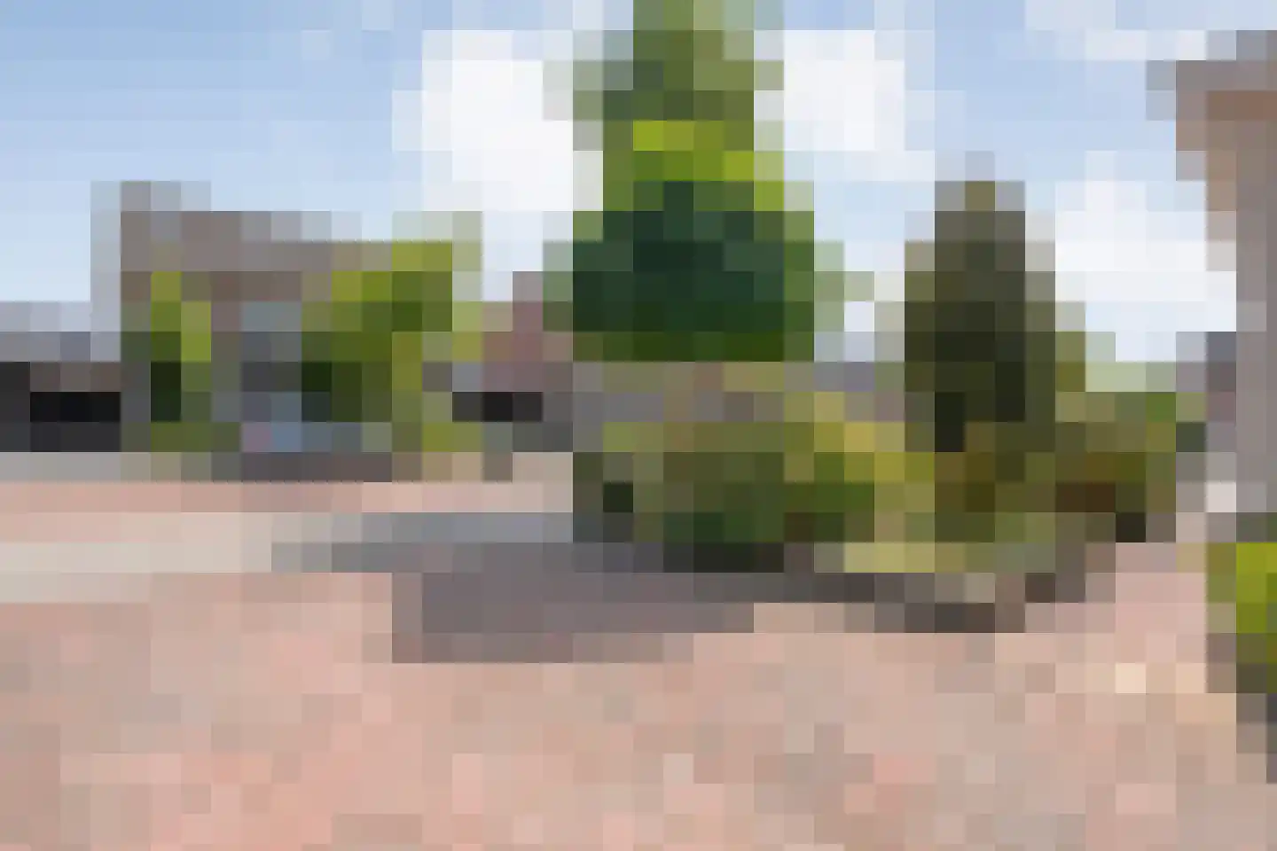 Molckenbourstraat 51 Hardenberg thumbnail 48