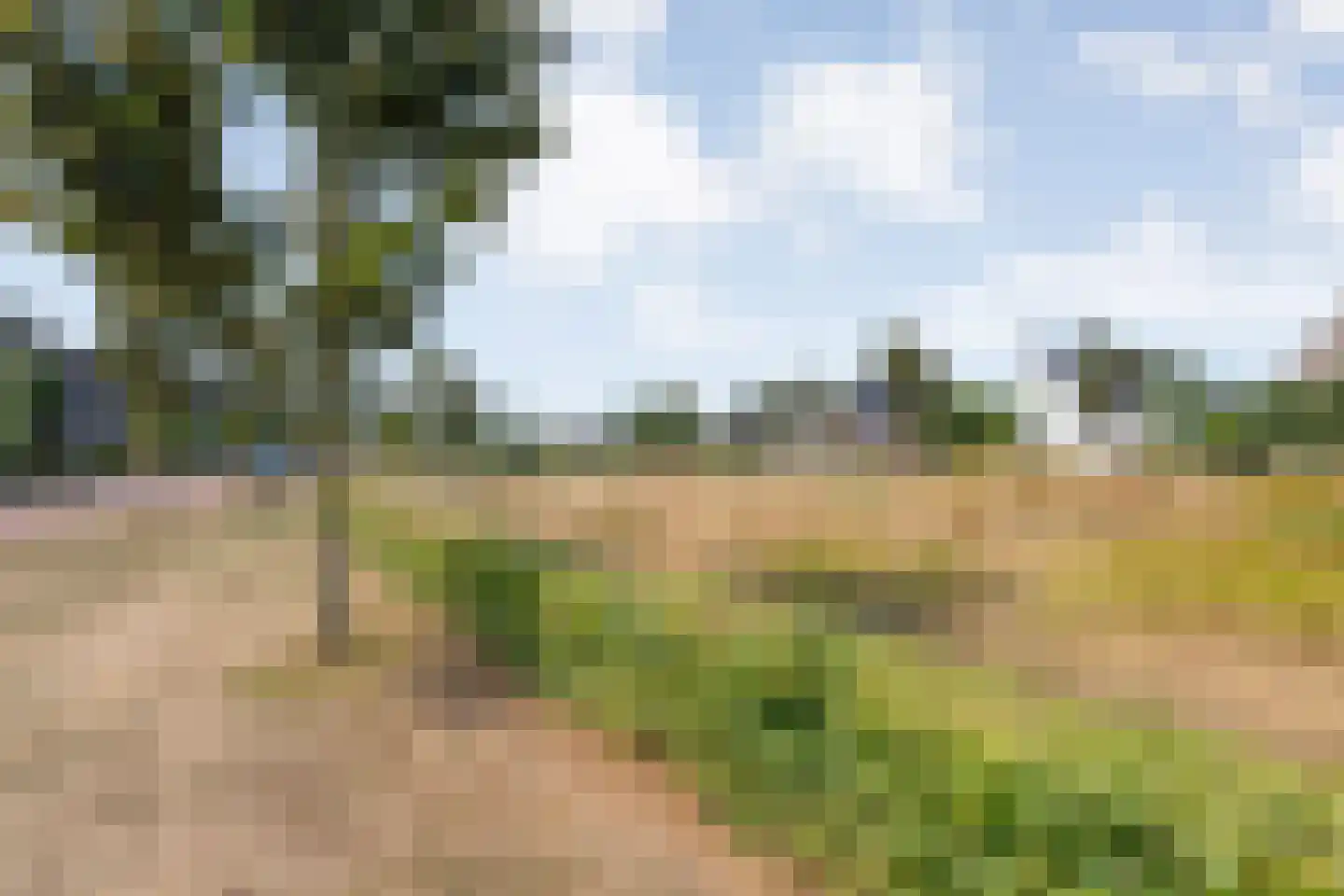 Molckenbourstraat 51 Hardenberg thumbnail 49