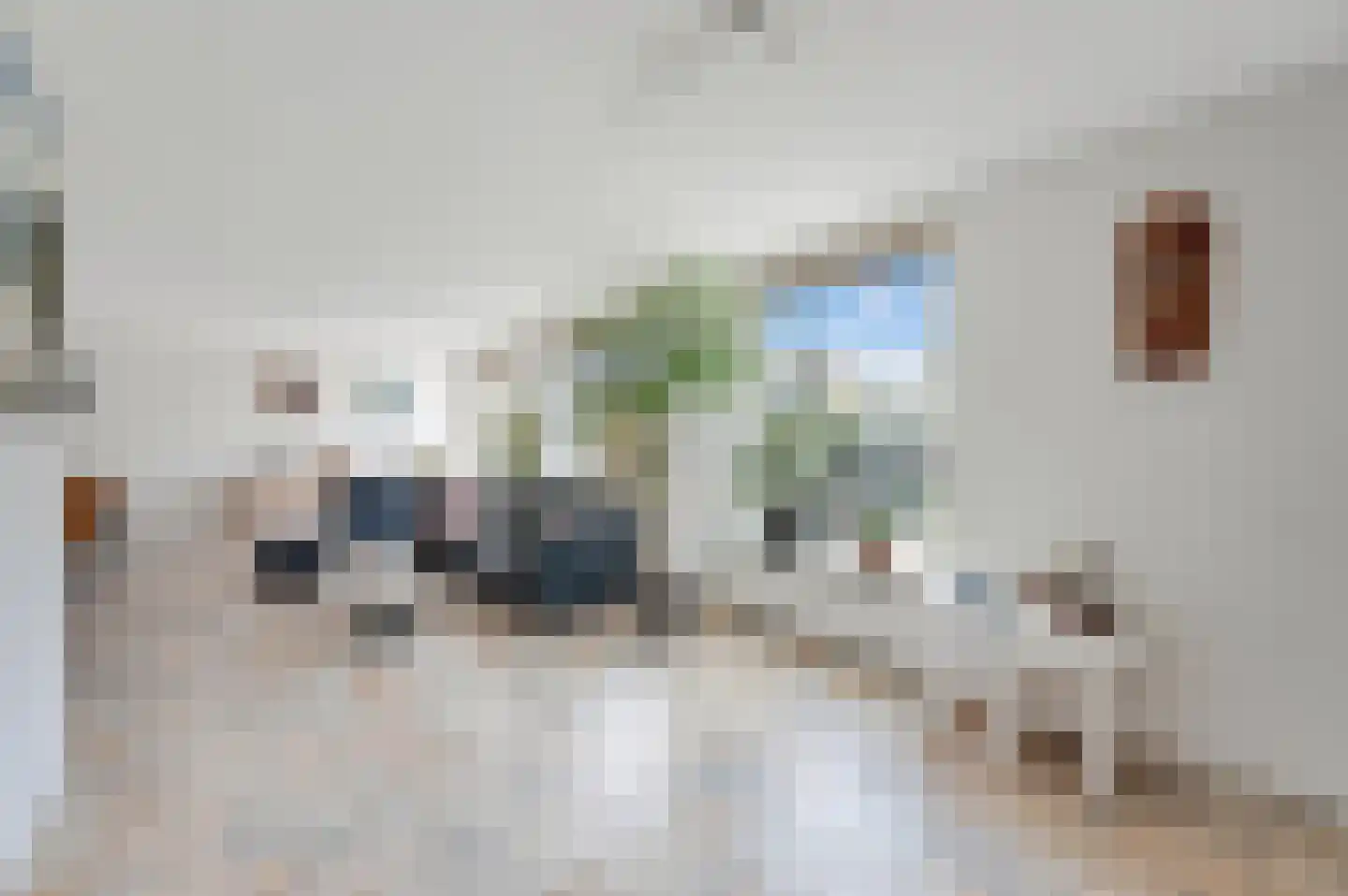Moldau 6 Nieuwerkerk aan den IJssel thumbnail 10