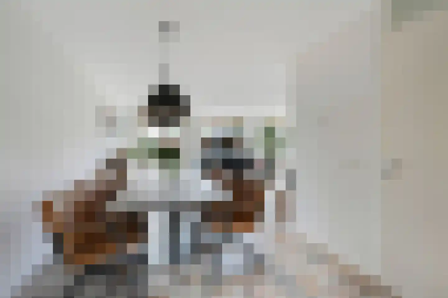 Moldau 6 Nieuwerkerk aan den IJssel thumbnail 14