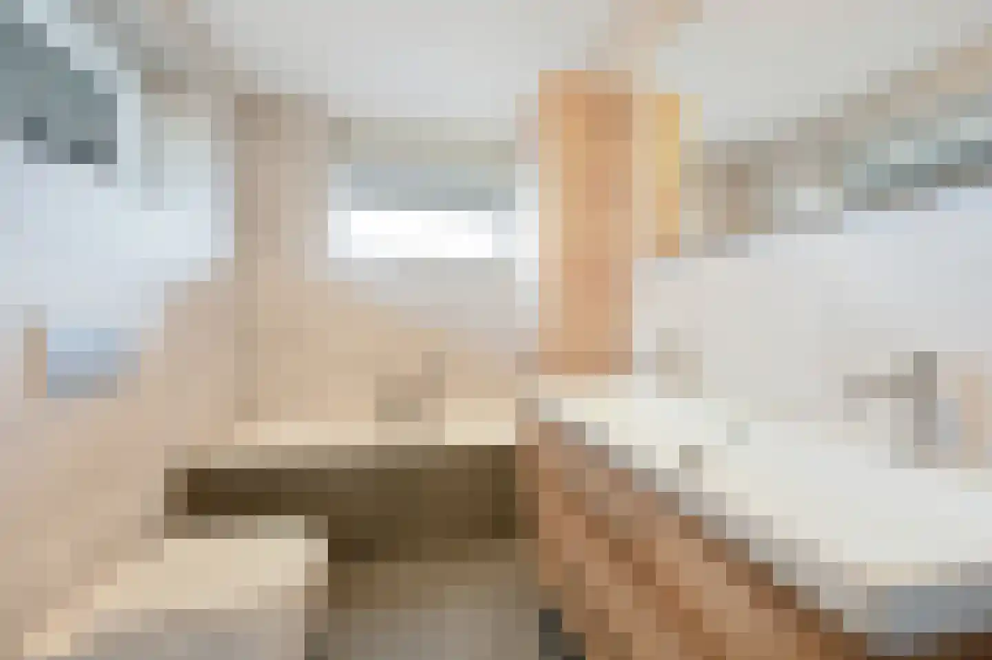 Moldau 6 Nieuwerkerk aan den IJssel thumbnail 23