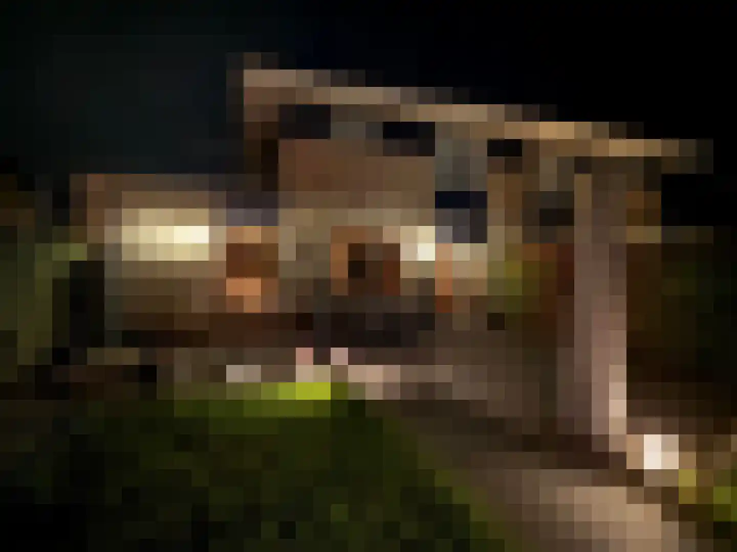 Moldau 6 Nieuwerkerk aan den IJssel thumbnail 26