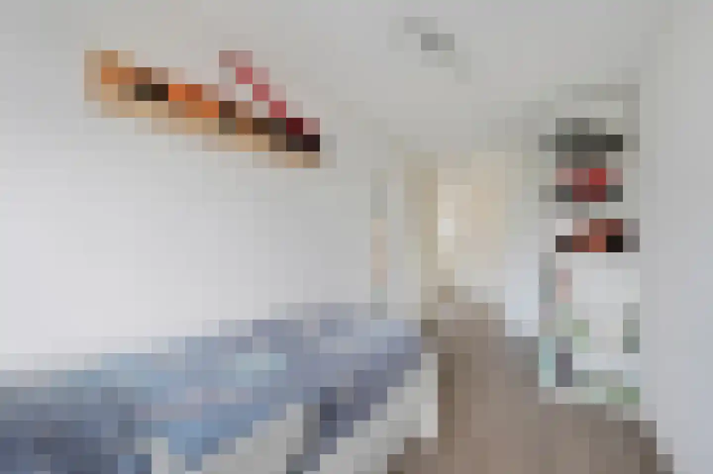 Moldau 6 Nieuwerkerk aan den IJssel thumbnail 34