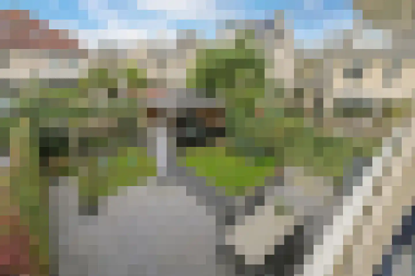 Moldau 6 Nieuwerkerk aan den IJssel thumbnail 36
