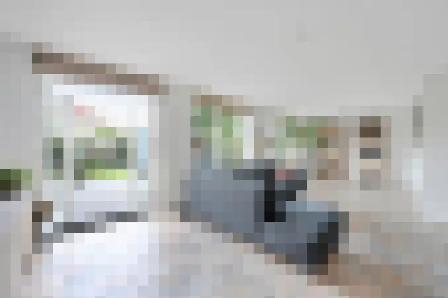 Moldau 6 Nieuwerkerk aan den IJssel thumbnail 8