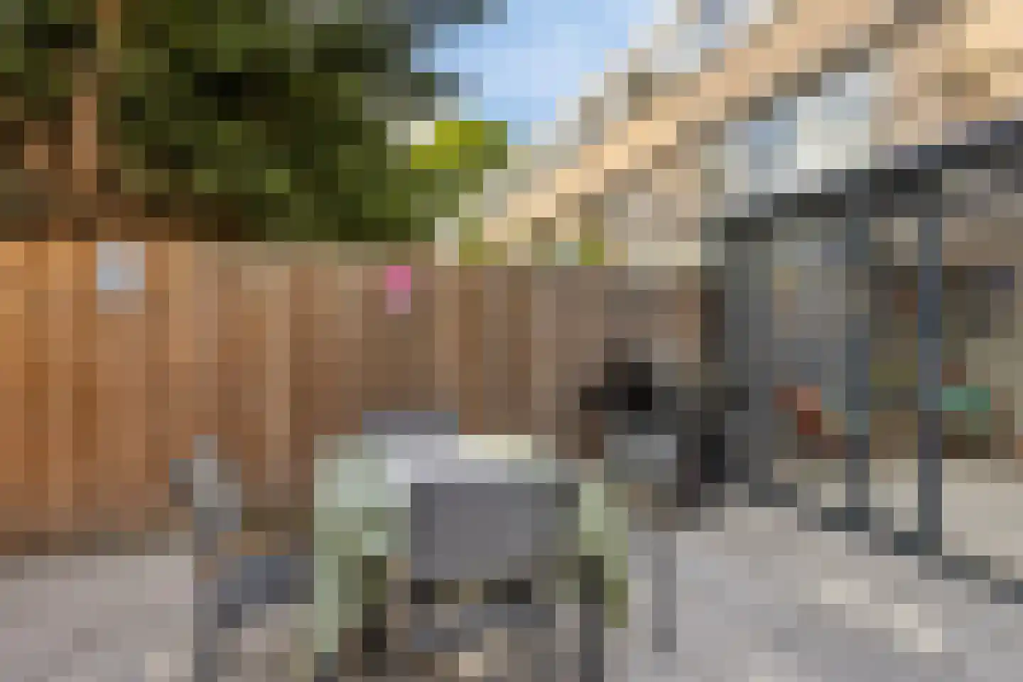 Moldau 7 Amstelveen thumbnail 16