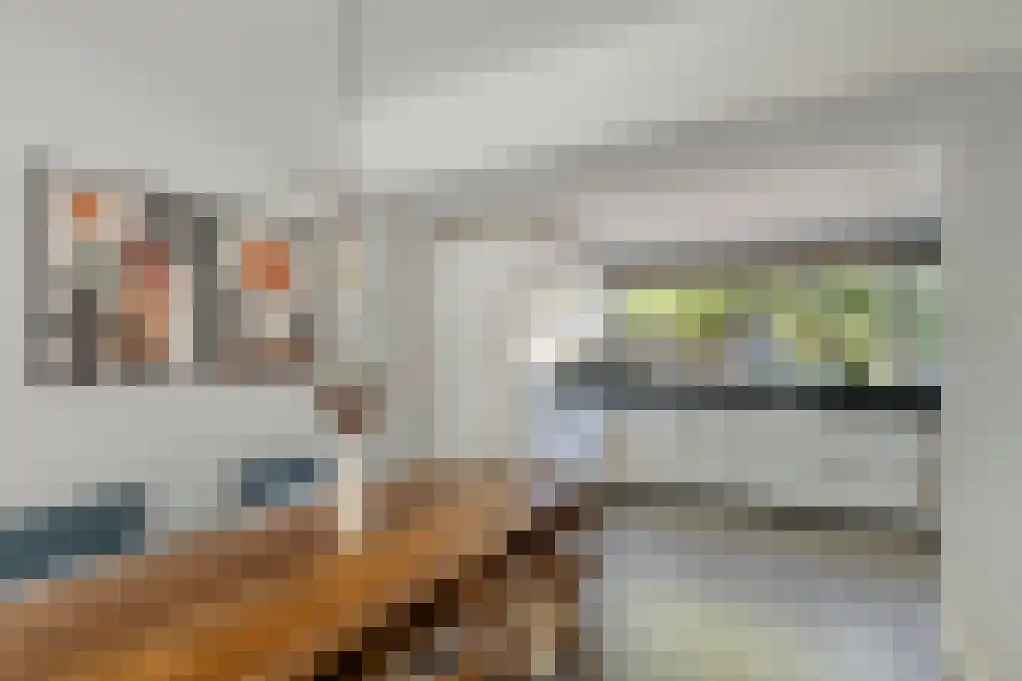 Moldau 7 Amstelveen thumbnail 23