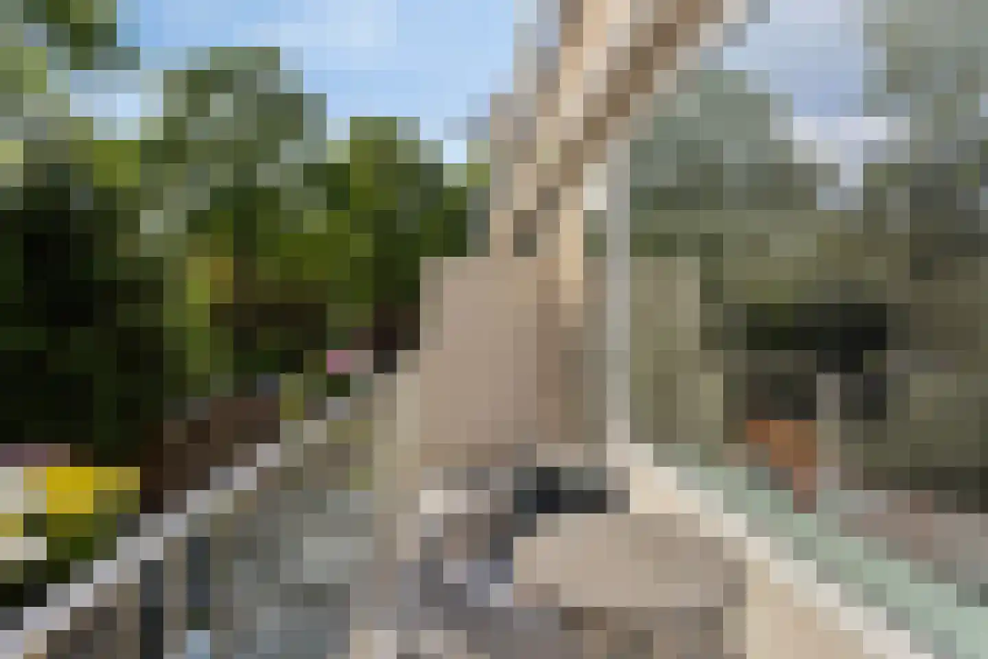 Moldau 7 Amstelveen thumbnail 28