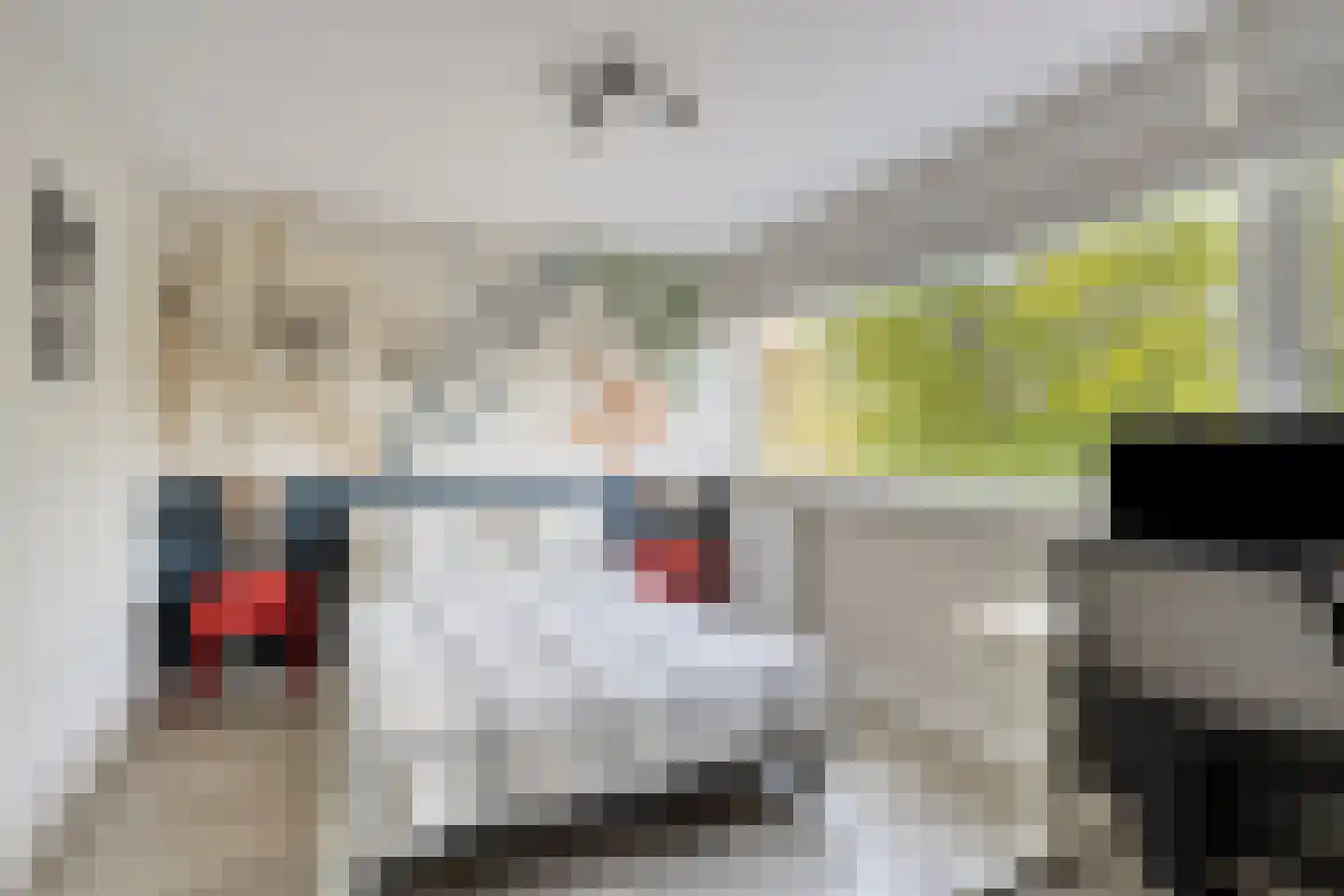 Moldau 7 Amstelveen thumbnail 36