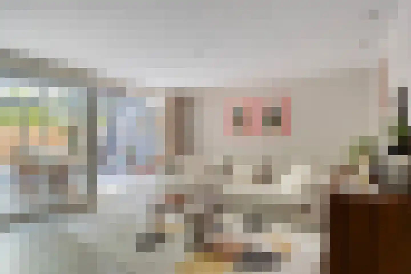 Moldau 7 Amstelveen thumbnail 4