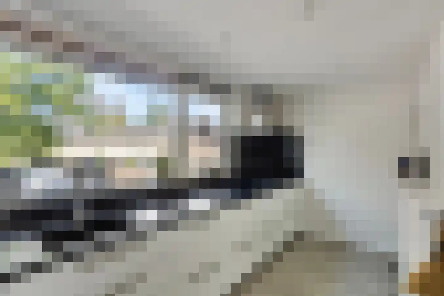 Moldau 7 Amstelveen thumbnail 65