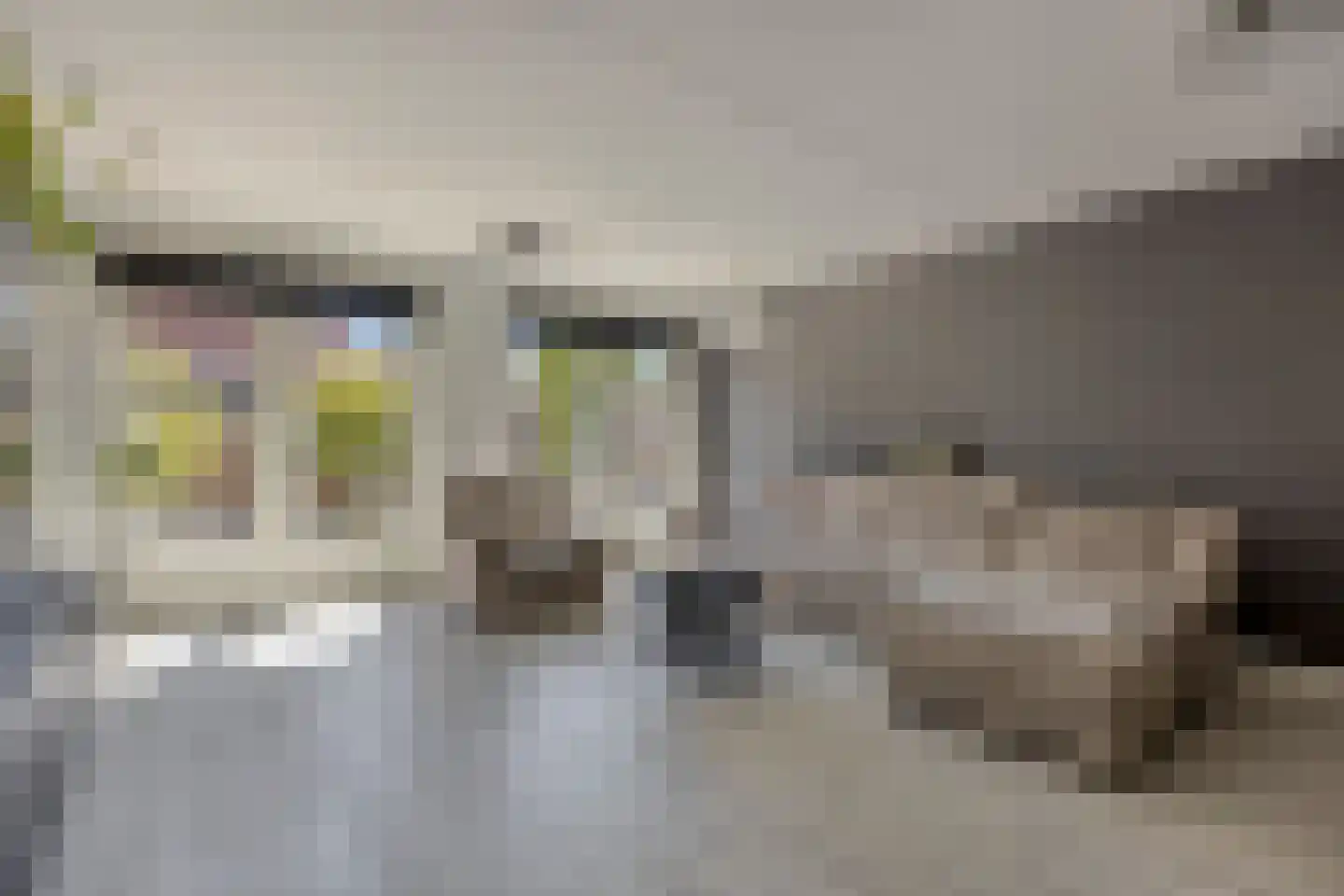 Moldaustroom 75 Zoetermeer thumbnail 10