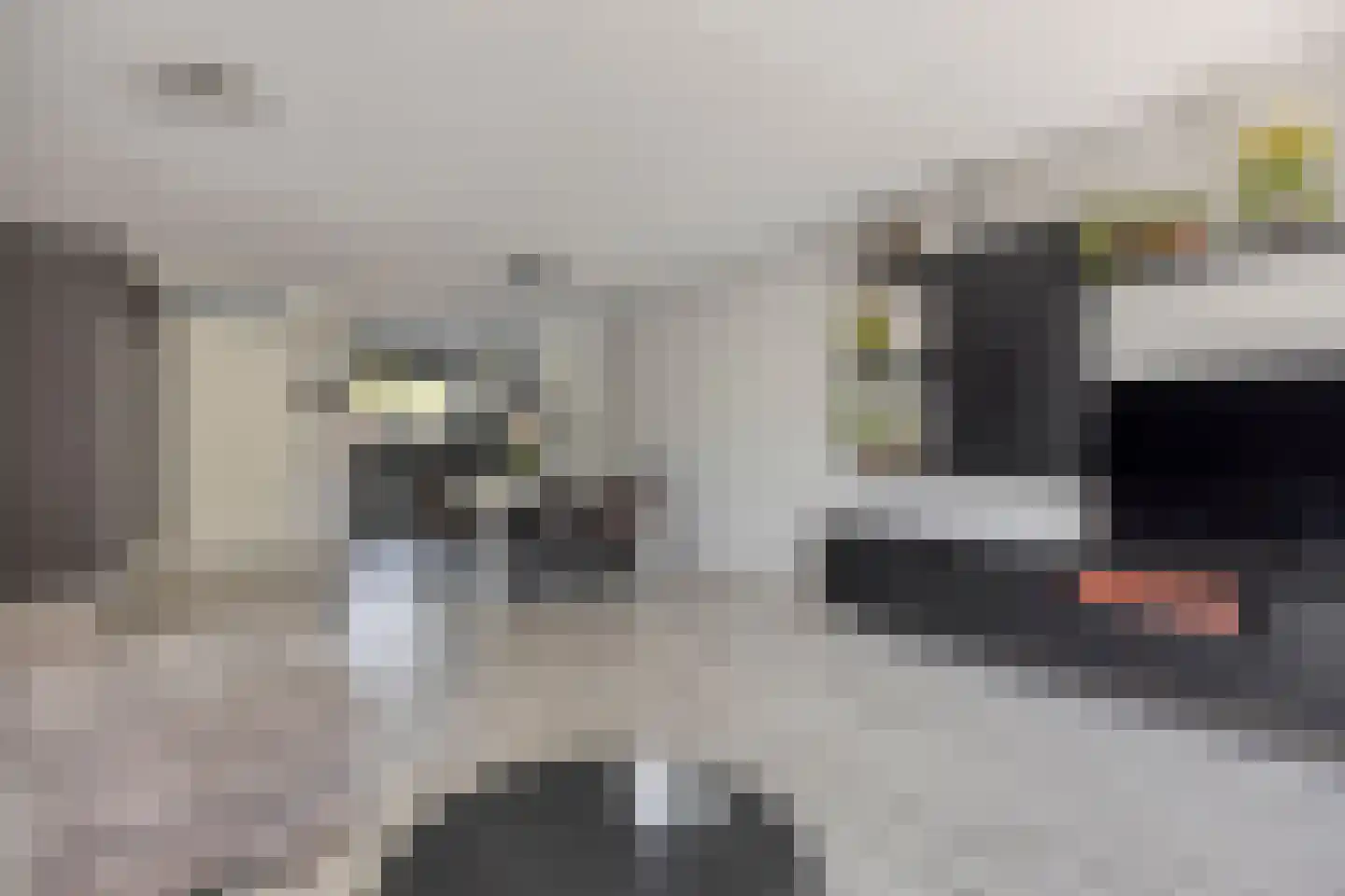 Moldaustroom 75 Zoetermeer thumbnail 11
