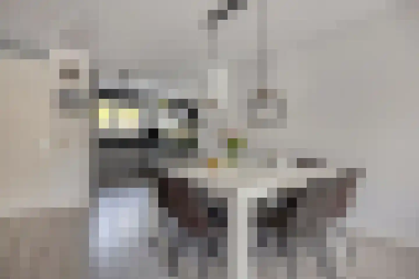 Moldaustroom 75 Zoetermeer thumbnail 12