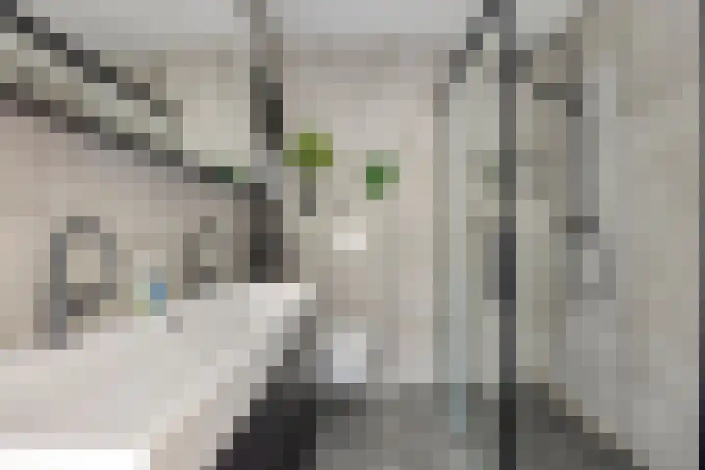 Moldaustroom 75 Zoetermeer thumbnail 26