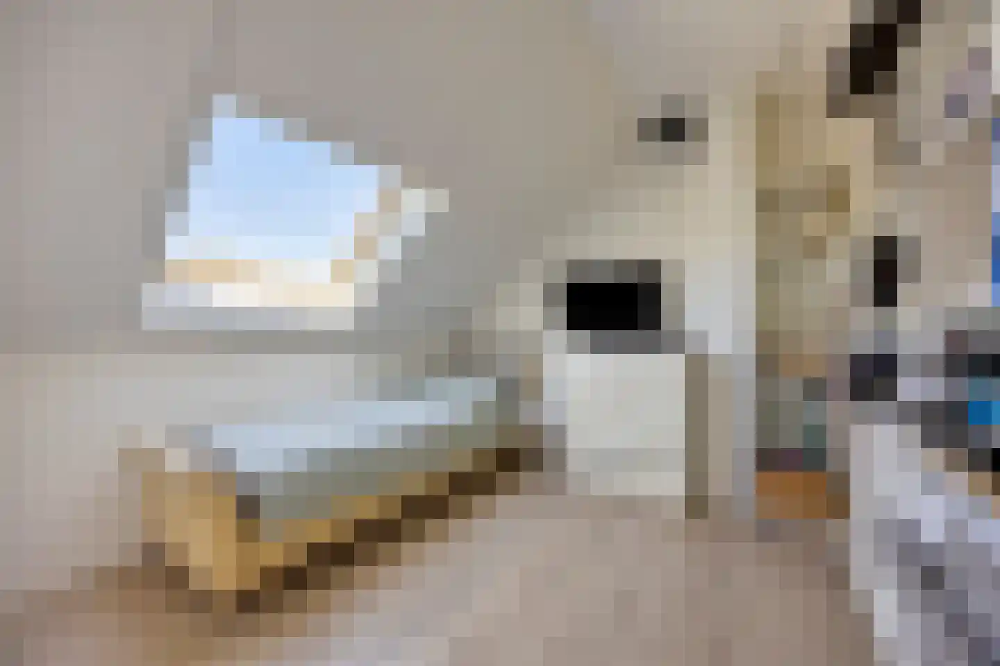 Moldaustroom 75 Zoetermeer thumbnail 32