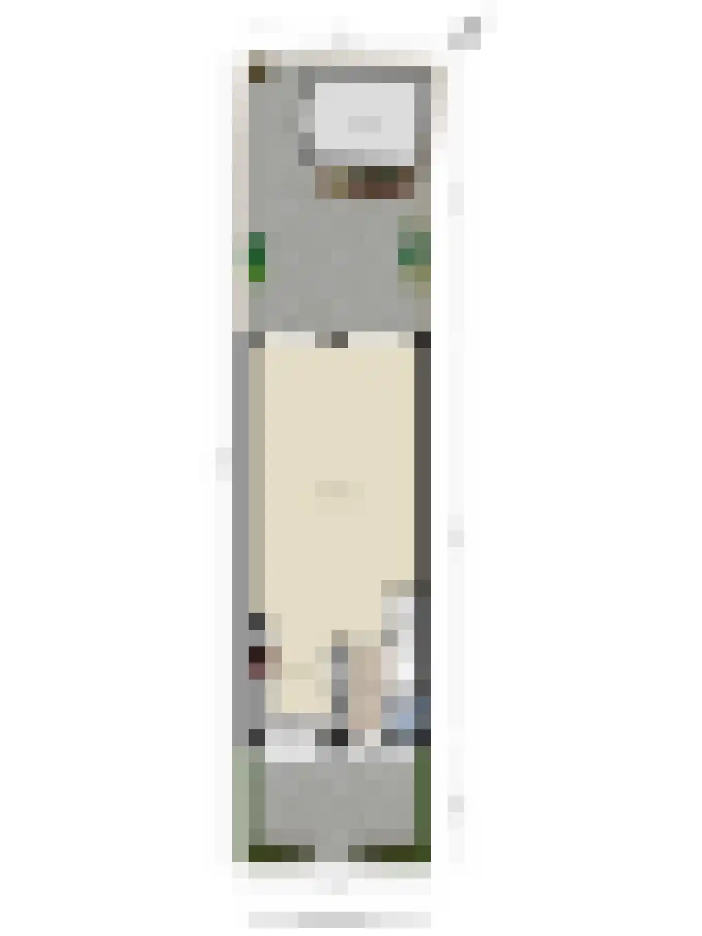 Moldaustroom 75 Zoetermeer thumbnail 45
