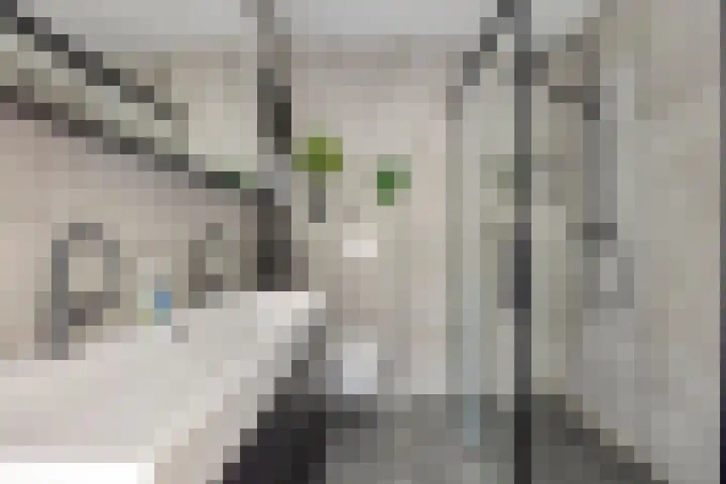 Moldaustroom 75 Zoetermeer thumbnail 5