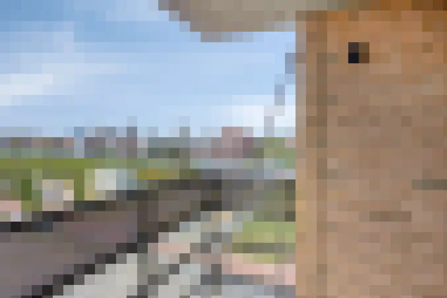 Moldaviëstraat 48 Almere thumbnail 17