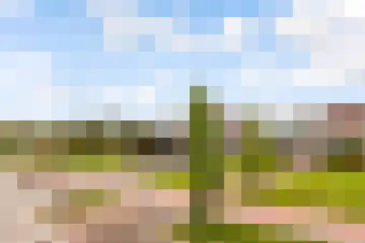Moldaviëstraat 6 Almere thumbnail 35