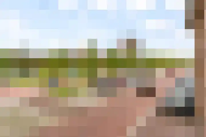 Moldaviëstraat 6 Almere thumbnail 5