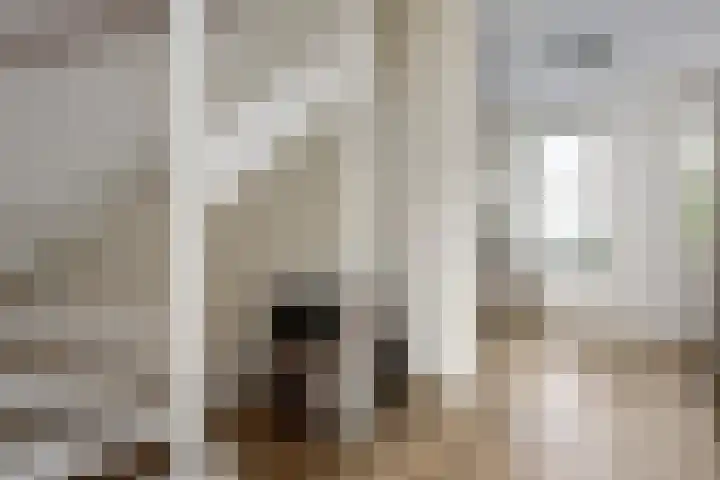 Moldaviëstraat 84 Almere thumbnail 20