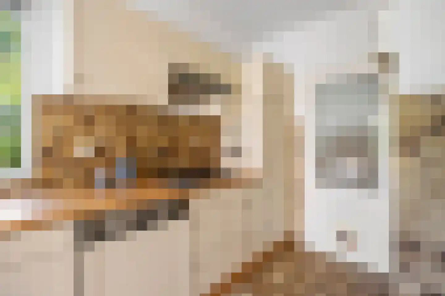 Molecaten 107 Barneveld thumbnail 13