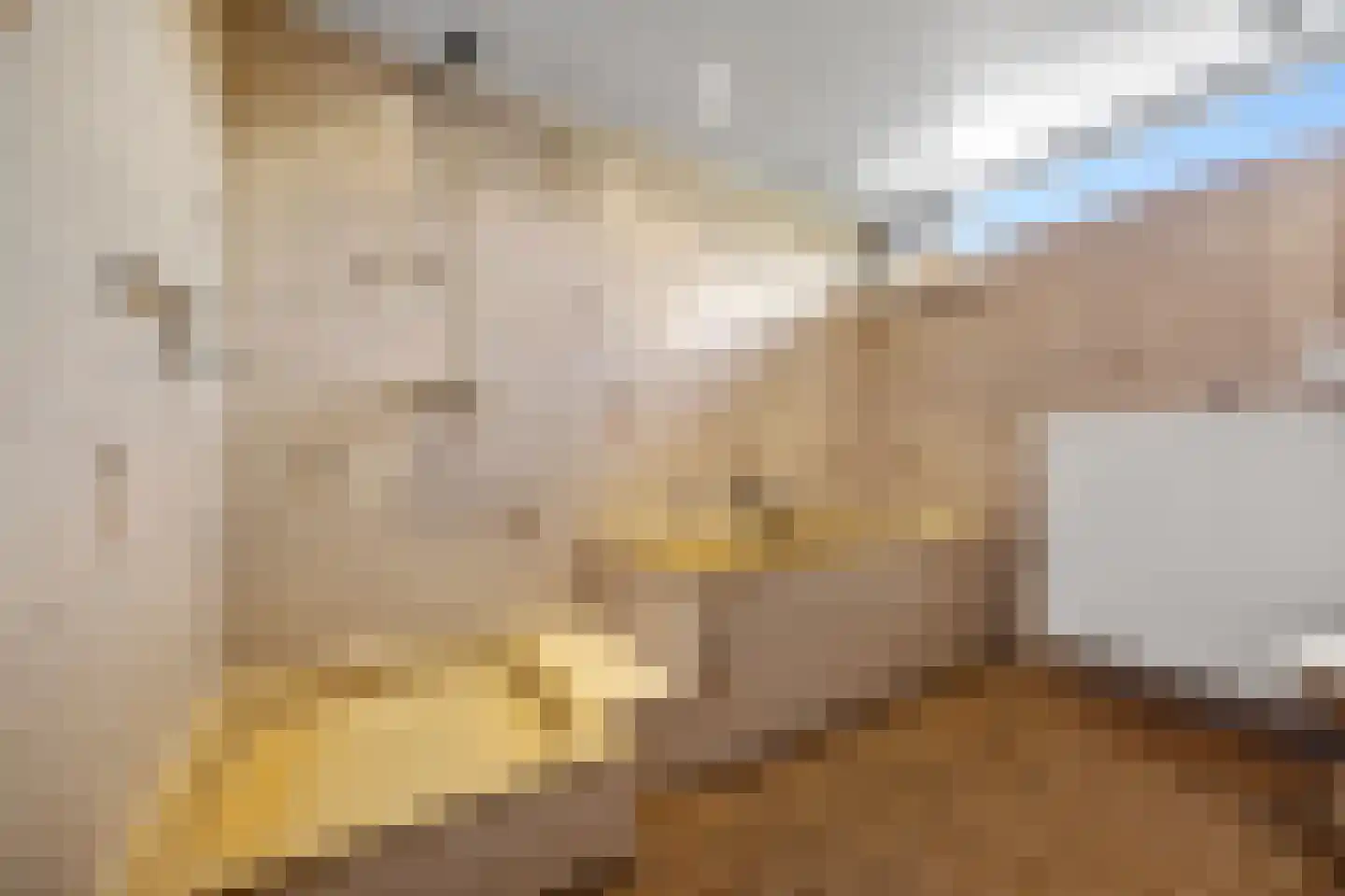 Molecaten 107 Barneveld thumbnail 23