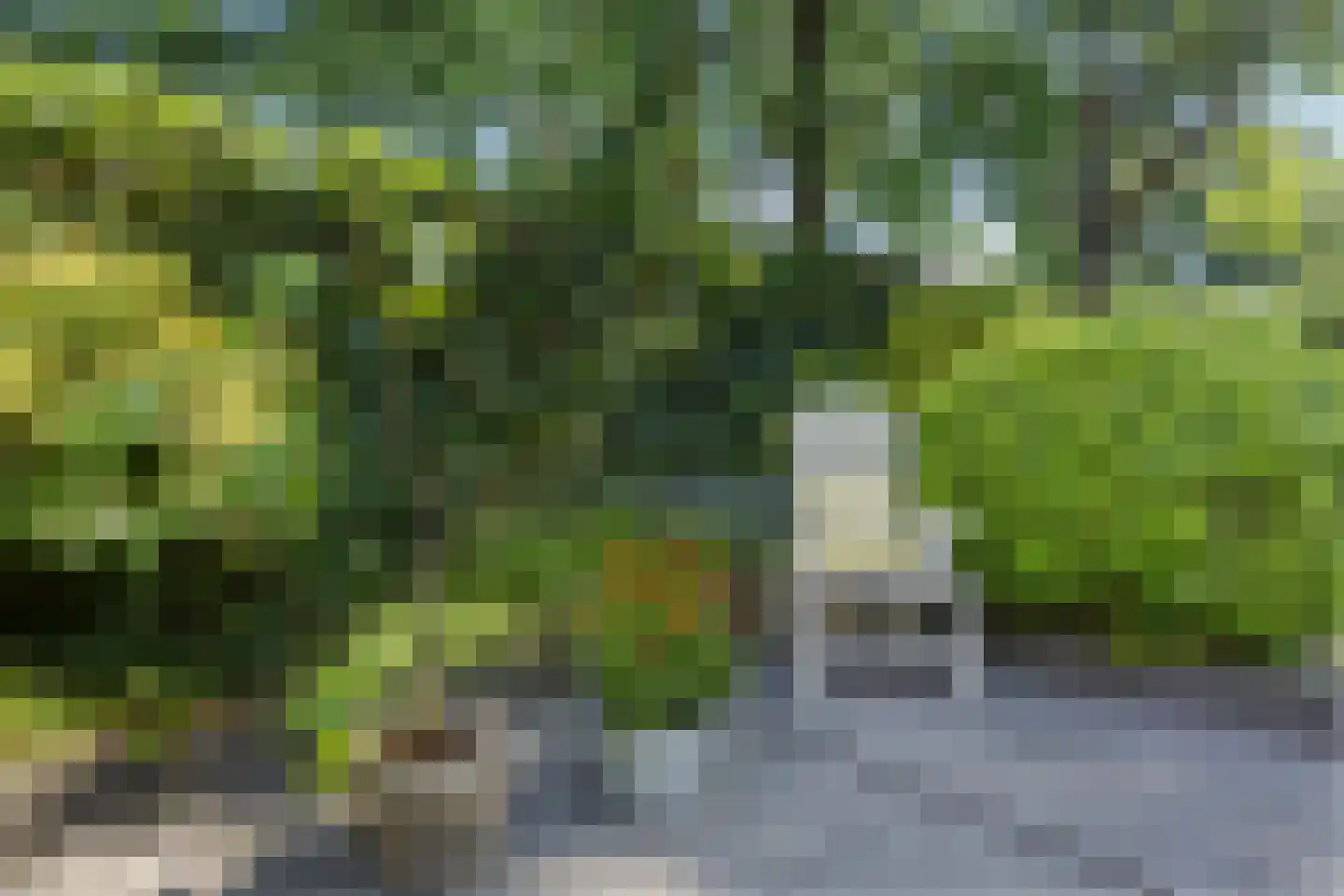 Molecaten 107 Barneveld thumbnail 31