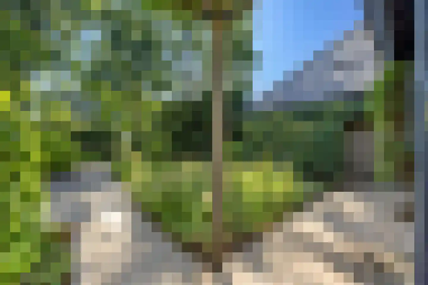 Molecaten 107 Barneveld thumbnail 32