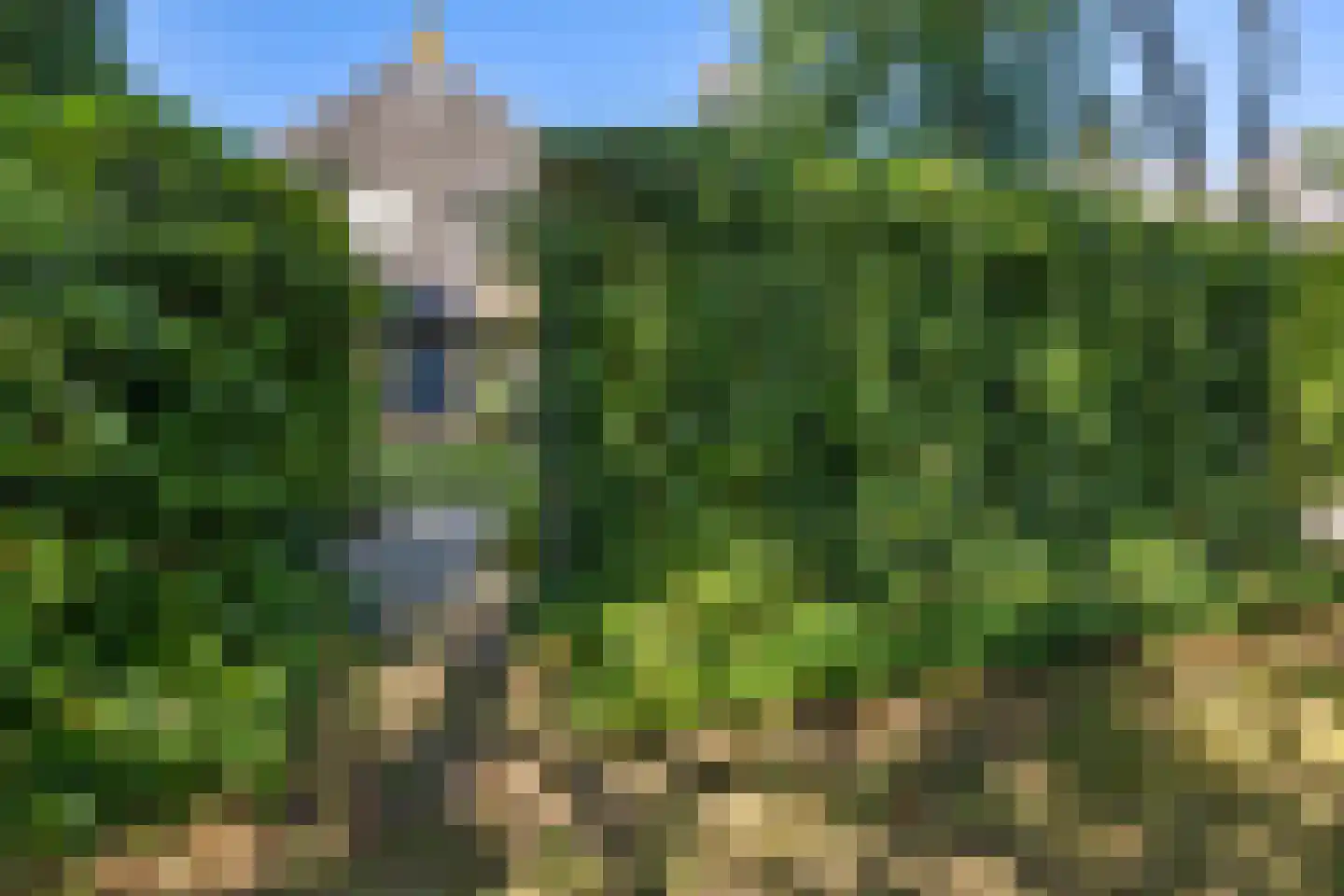 Molecaten 107 Barneveld thumbnail 35