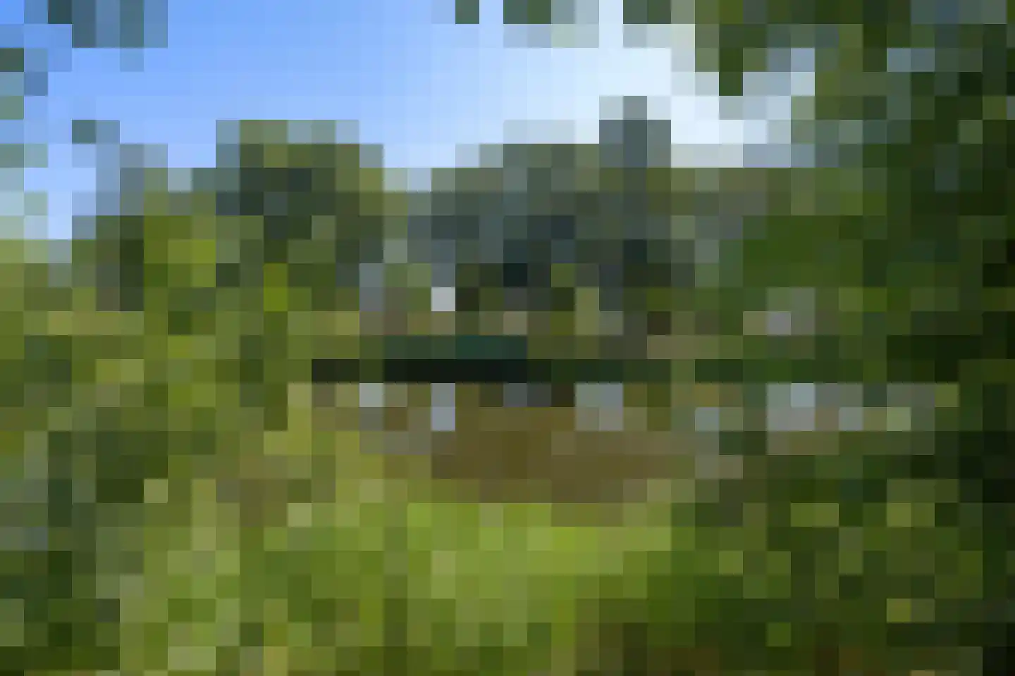 Molecaten 107 Barneveld thumbnail 37