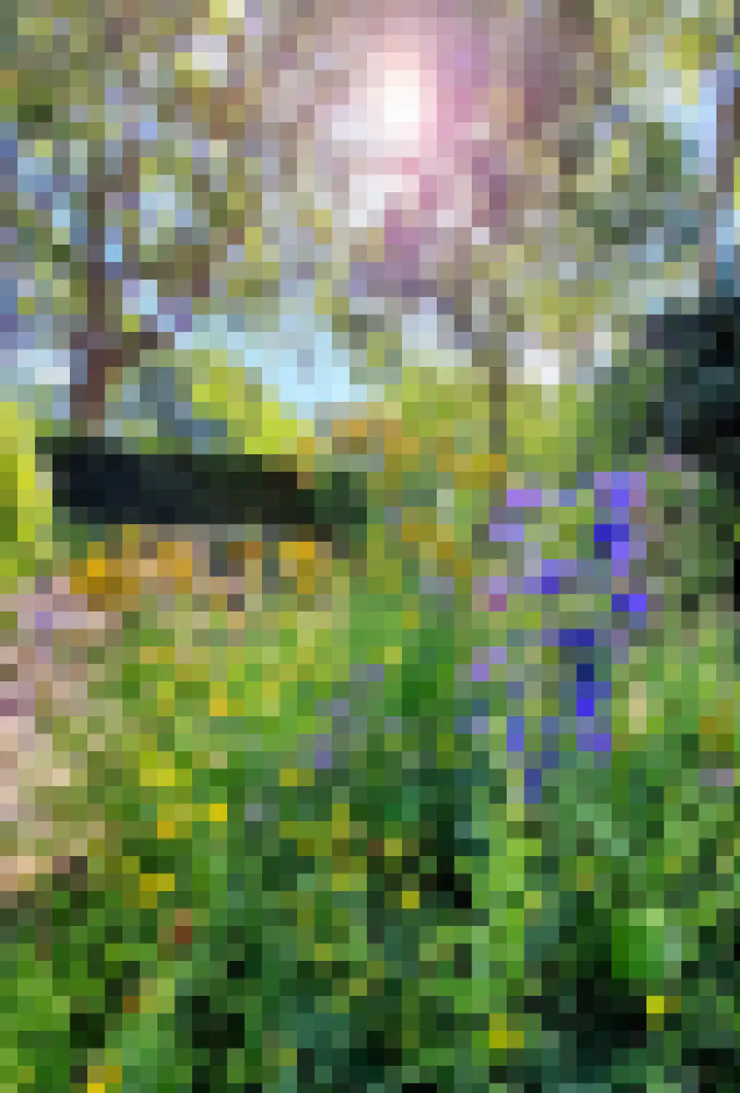 Molecaten 107 Barneveld thumbnail 38