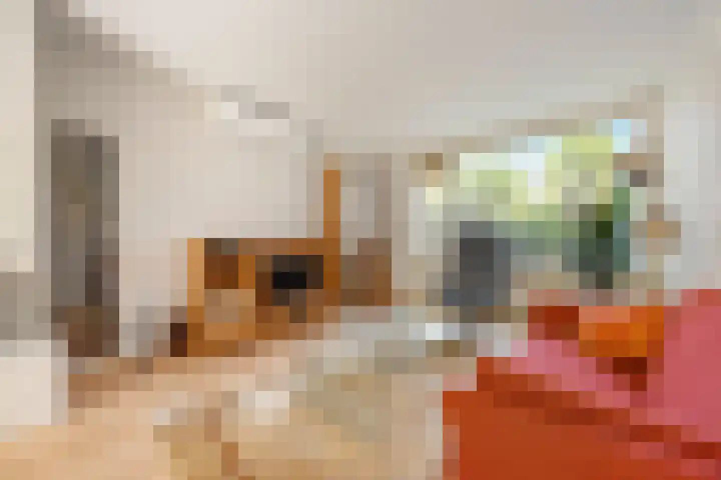 Molecaten 107 Barneveld thumbnail 7