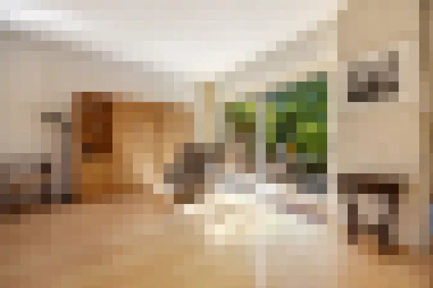 Molecaten 107 Barneveld thumbnail 9
