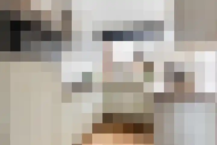 Molecaten 27 Barneveld thumbnail 11