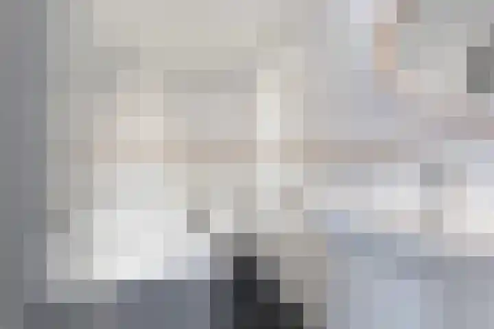 Molecaten 27 Barneveld thumbnail 23