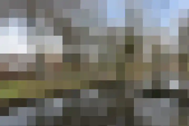 Molecaten 27 Barneveld thumbnail 38