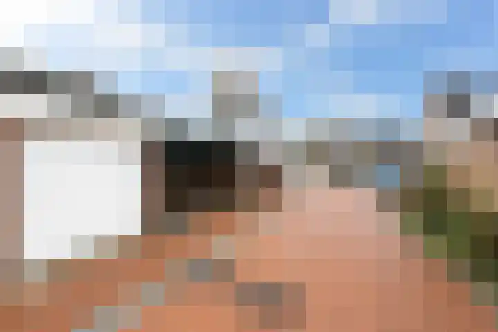 Molecaten 27 Barneveld thumbnail 39