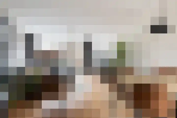 Molecaten 27 Barneveld thumbnail 7