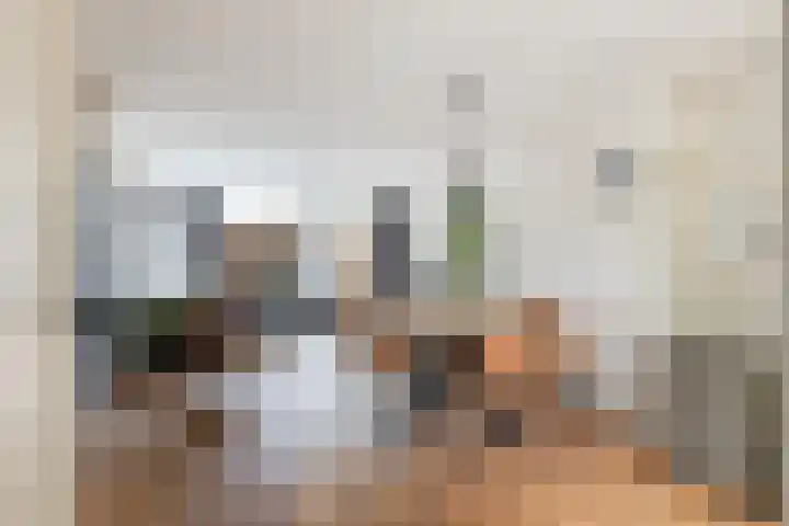 Molecaten 27 Barneveld thumbnail 8