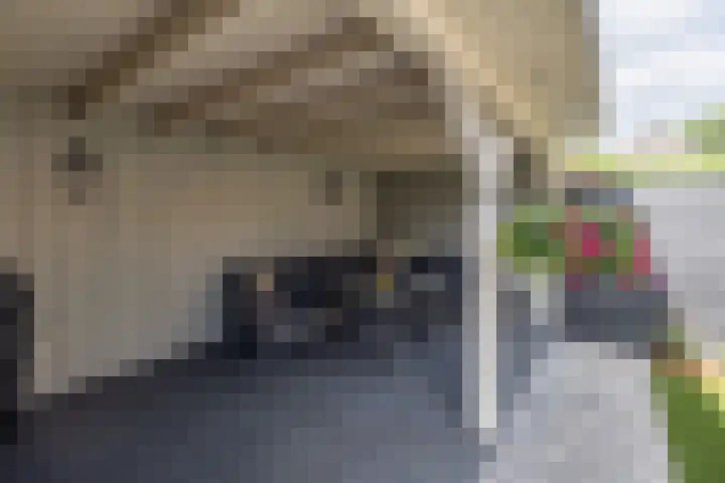 Molecaten 42 Barneveld thumbnail 37
