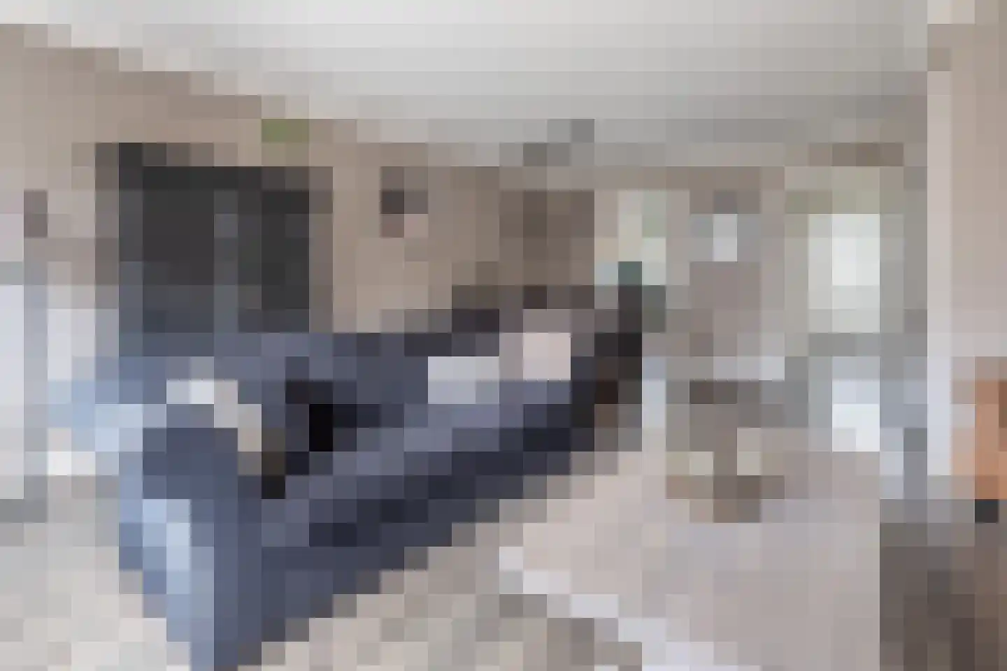 Molecaten 42 Barneveld thumbnail 4