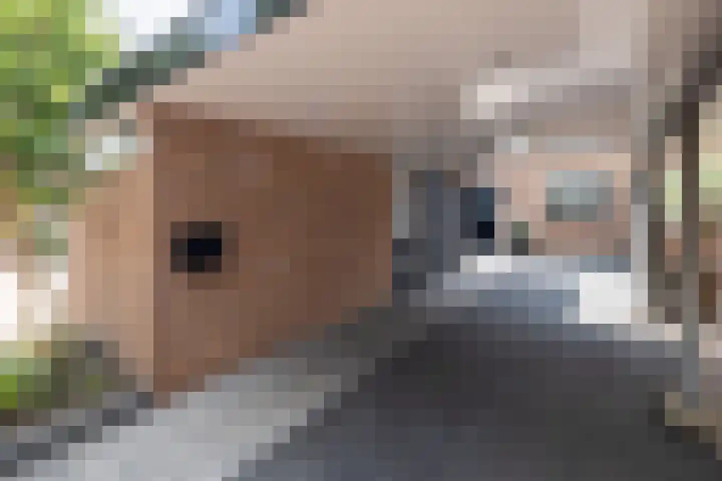 Molecaten 42 Barneveld thumbnail 43