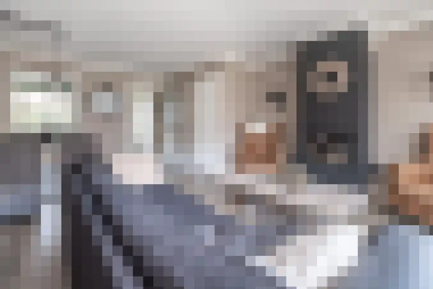 Molecaten 42 Barneveld thumbnail 6