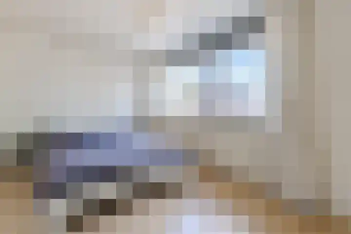 Molecaten 50 Barneveld thumbnail 12