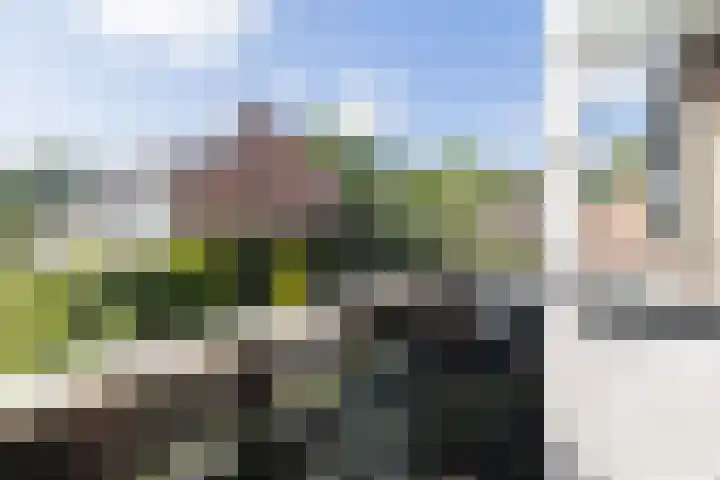 Molecaten 50 Barneveld thumbnail 18