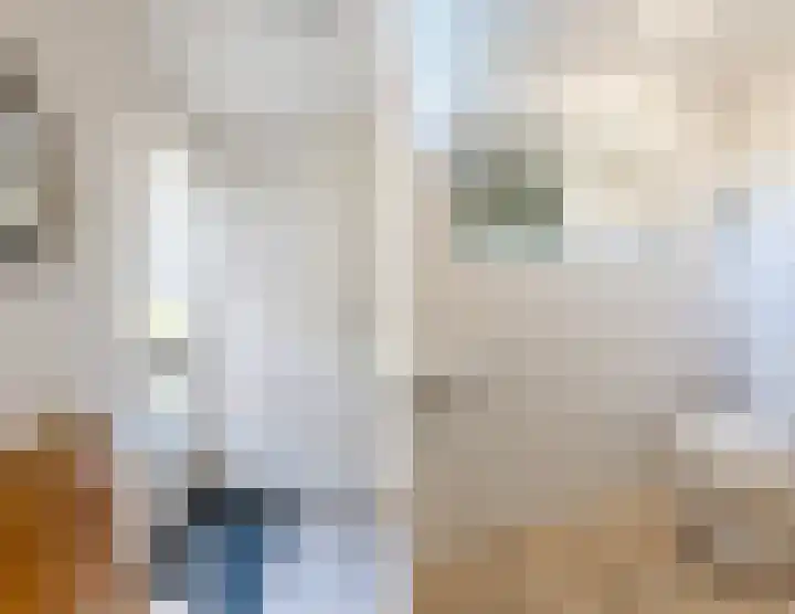 Molecaten 50 Barneveld thumbnail 24
